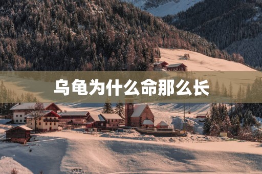 乌龟为什么命那么长
