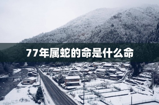 77年属蛇的命是什么命