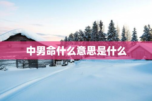 中男命什么意思是什么