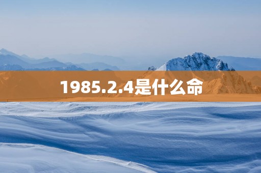 1985.2.4是什么命