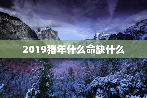 2019猪年什么命缺什么