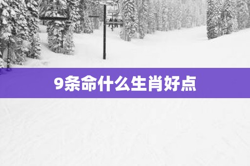 9条命什么生肖好点