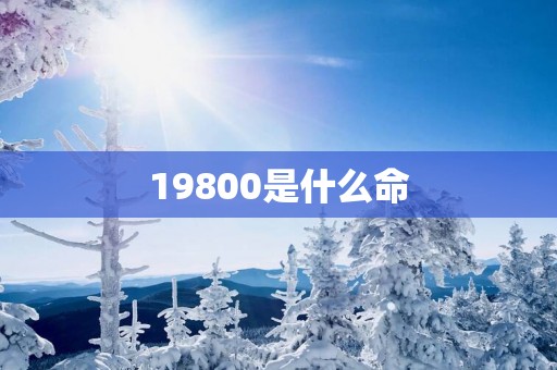 19800是什么命