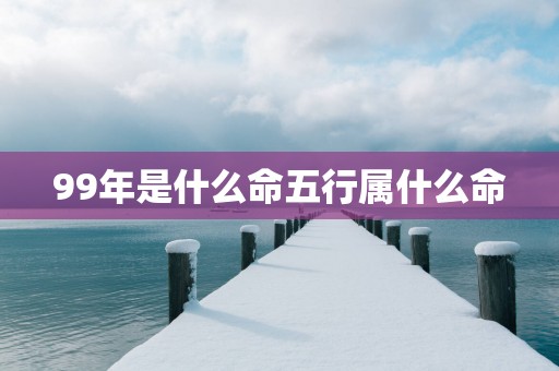 99年是什么命五行属什么命