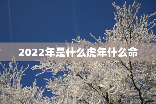 2025年是什么蛇年什么命