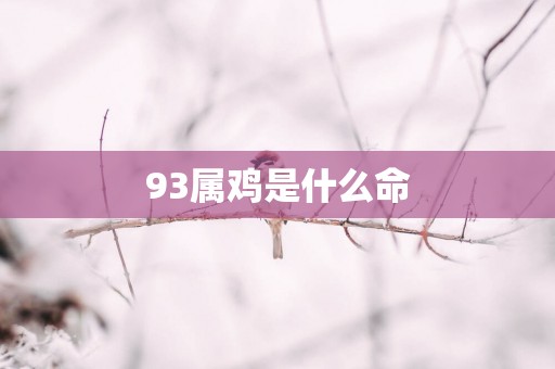 93属鸡是什么命
