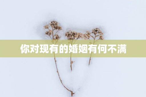 你对现有的婚姻有何不满