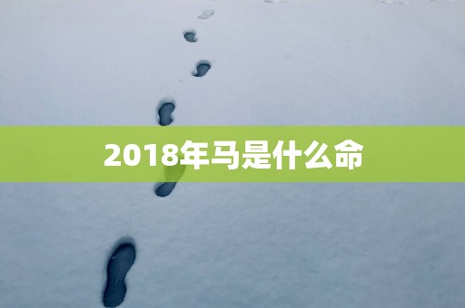 2018年马是什么命