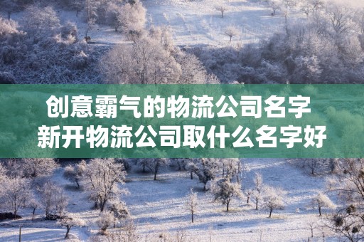 创意霸气的物流公司名字 新开物流公司取什么名字好