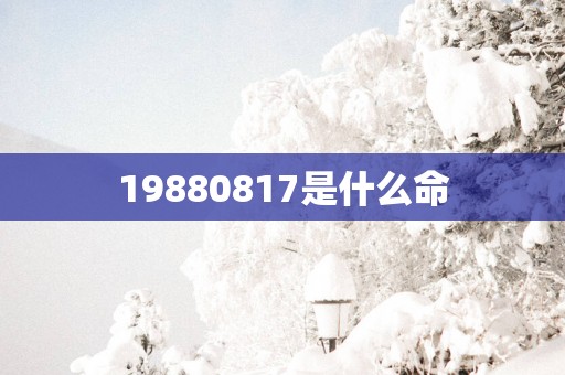 19880817是什么命