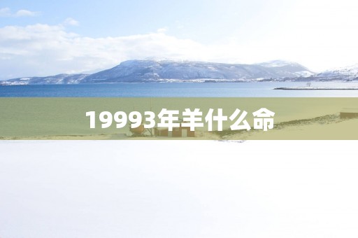 19993年羊什么命