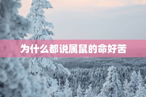 为什么都说属鼠的命好苦