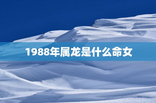 1988年属龙是什么命女