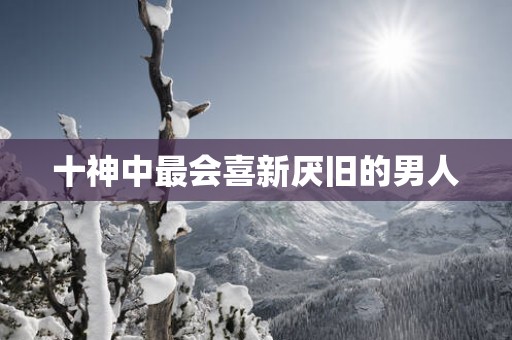 十神中最会喜新厌旧的男人
