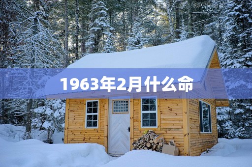 1963年2月什么命