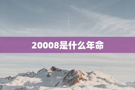 20008是什么年命