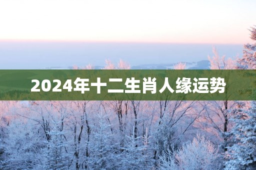 2025年十二生肖人缘运势