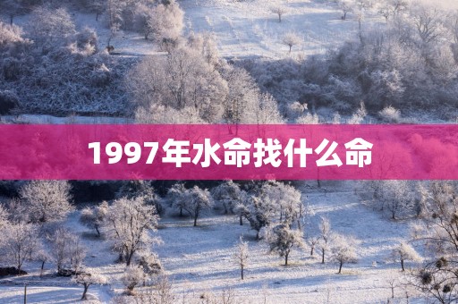 1997年水命找什么命