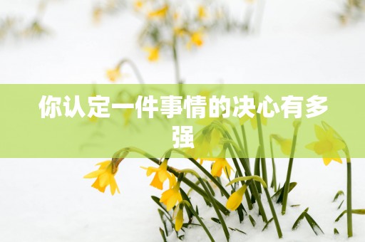 你认定一件事情的决心有多强