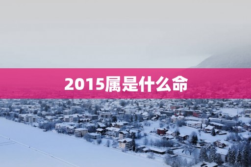 2015属是什么命