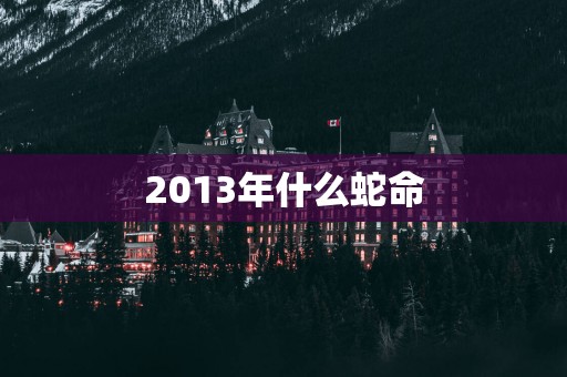 2013年什么蛇命