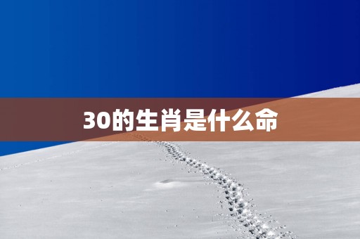 30的生肖是什么命