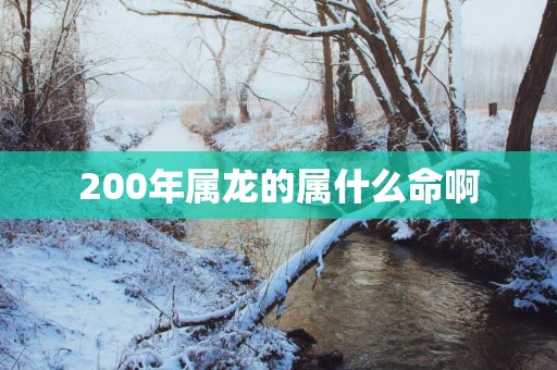 200年属龙的属什么命啊