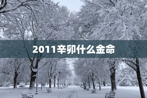 2011辛卯什么金命