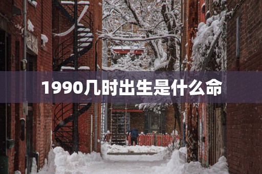 1990几时出生是什么命