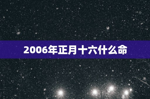 2006年正月十六什么命