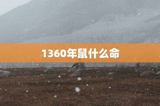 1360年鼠什么命