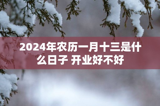 2025年农历一月十三是什么日子 开业好不好