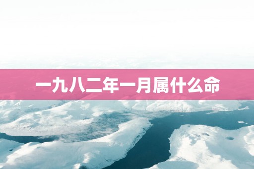 一九八二年一月属什么命