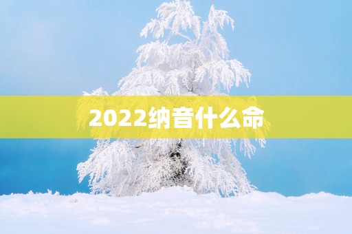 2025纳音什么命