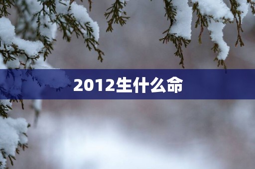 2012生什么命
