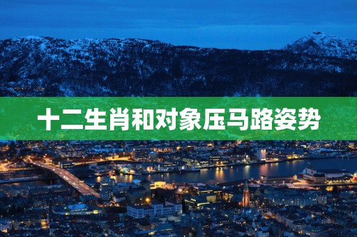 十二生肖和对象压马路姿势