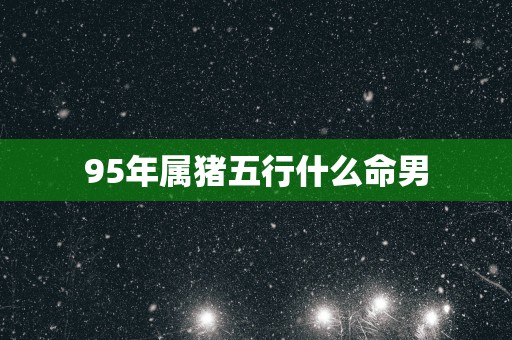 95年属猪五行什么命男