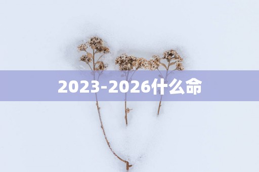 2025-2026什么命