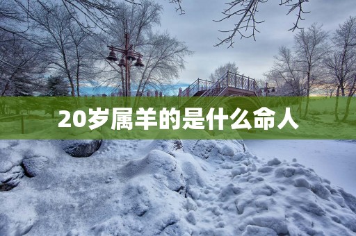 20岁属羊的是什么命人