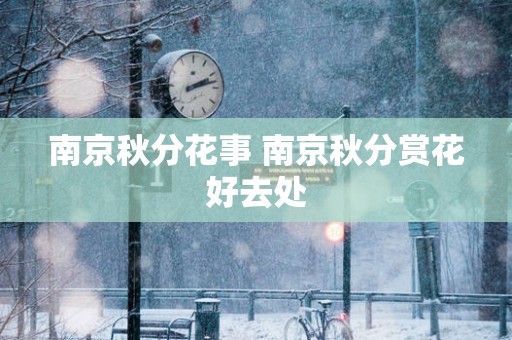 南京秋分花事 南京秋分赏花好去处
