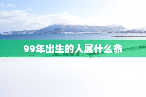 99年出生的人属什么命