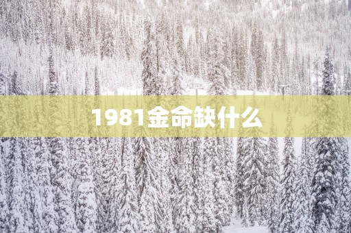 1981金命缺什么