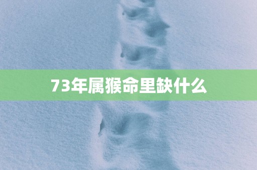 73年属猴命里缺什么