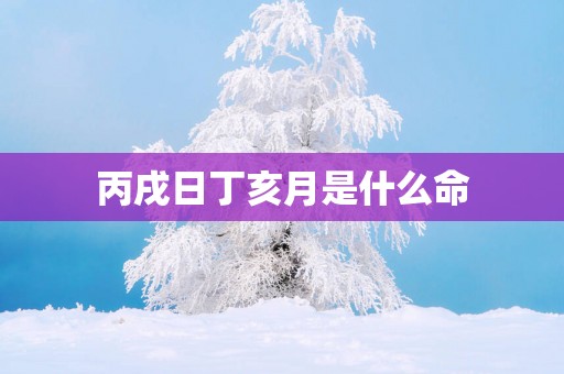 丙戌日丁亥月是什么命