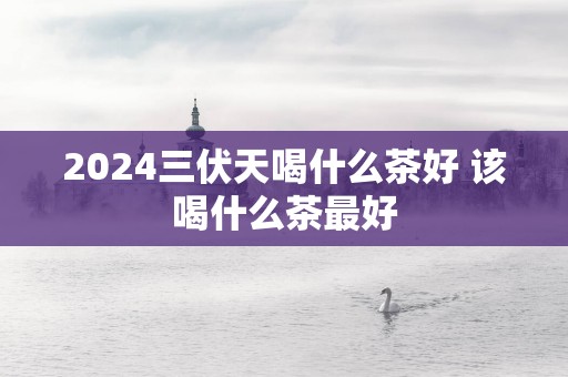 2025三伏天喝什么茶好 该喝什么茶最好