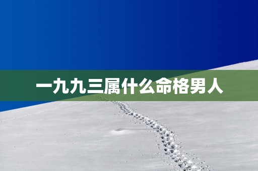 一九九三属什么命格男人