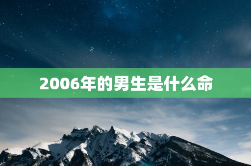 2006年的男生是什么命