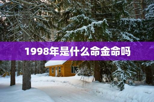 1998年是什么命金命吗