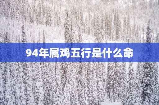 94年属鸡五行是什么命