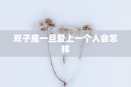 双子座一旦爱上一个人会怎样